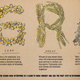 Illustration for article titled Can This Scratch-and-Sniff Book Turn You Into a Whiskey Aficionado?